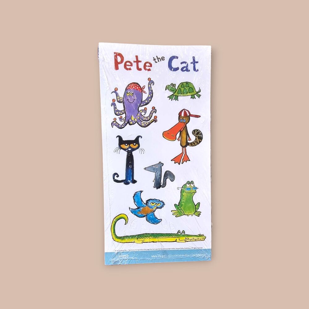 Pete the cat Party set